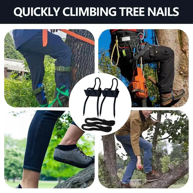 Tree Climbing Spikes