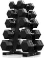 Dumbbell Set With Rack | Multiple Options