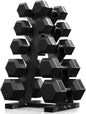 Dumbbell Set With Rack | Multiple Options