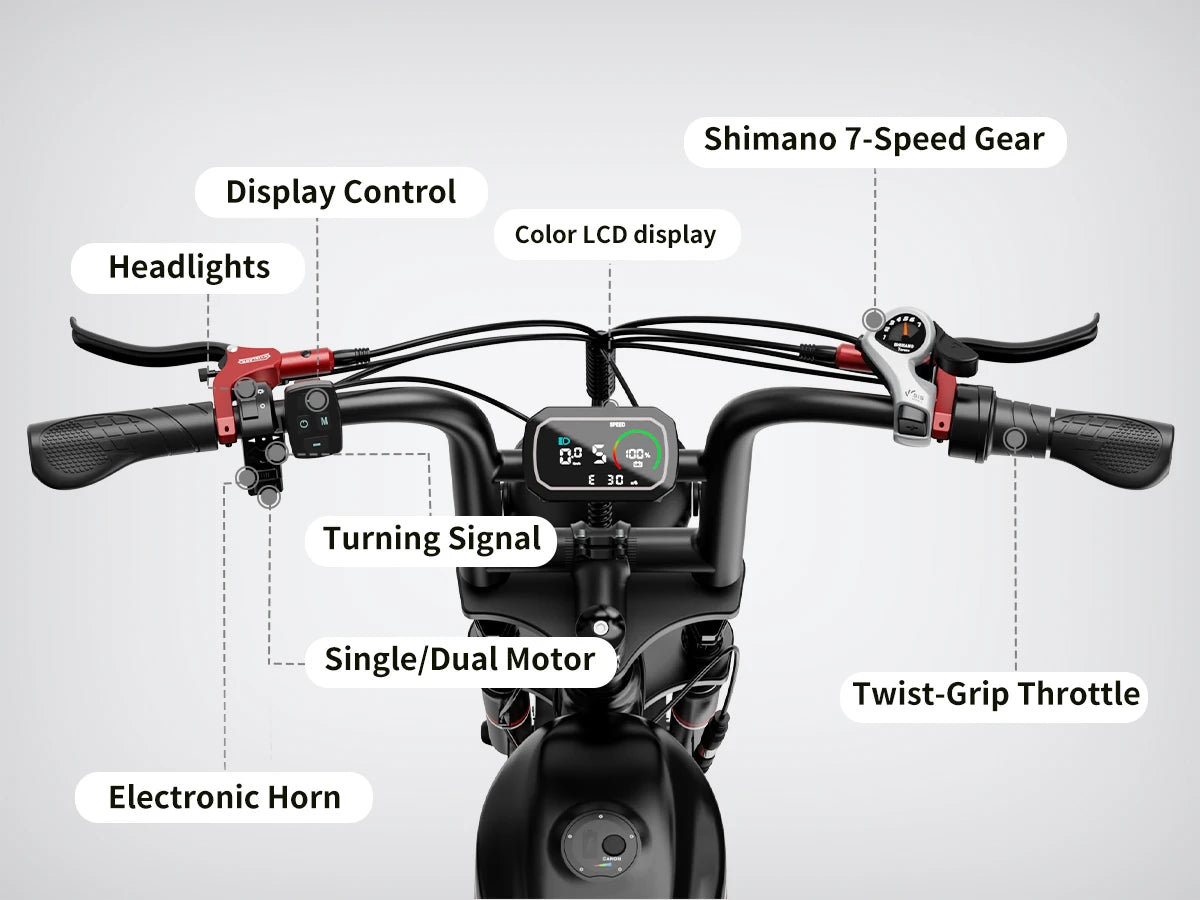 S6 Electric Bike for Adults Dual Moter Peak 3000W