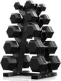 Dumbbell Set With Rack | Multiple Options